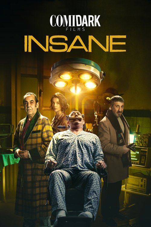 Póster de Comidark Films 2: Insane