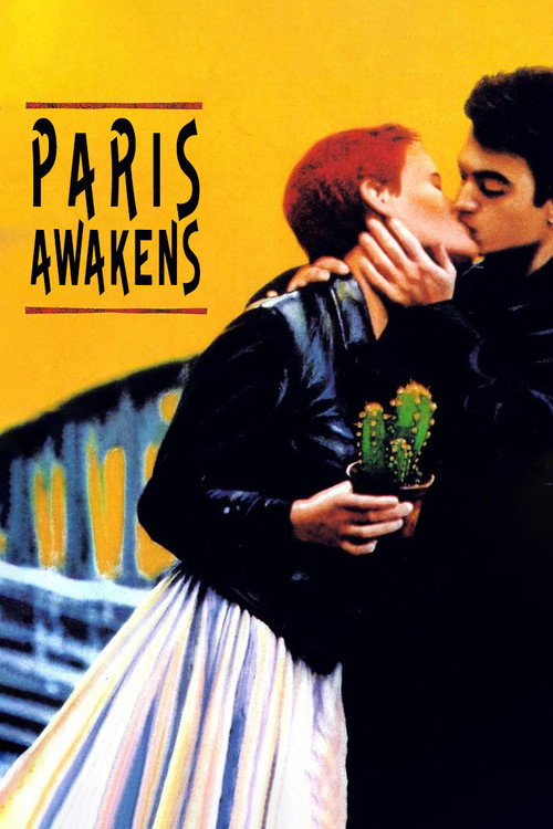 Póster de Paris Awakens