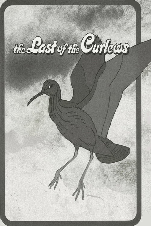 Póster de The Last of the Curlews
