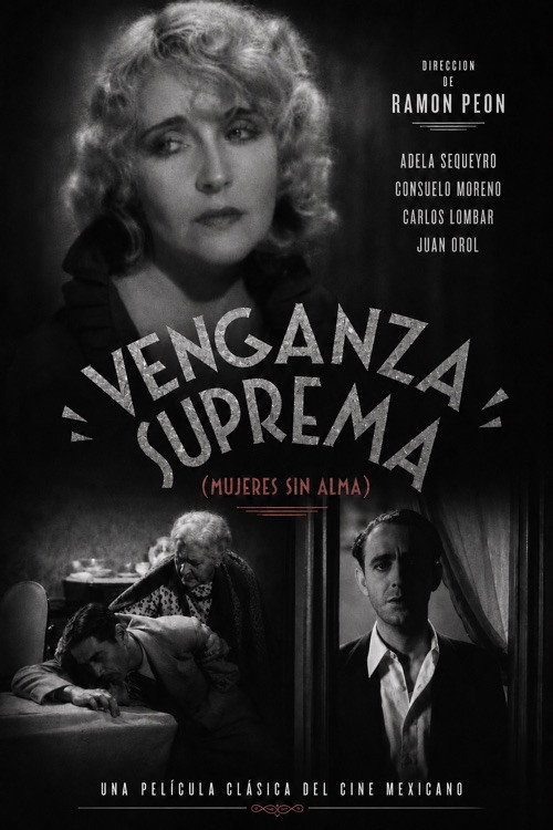Póster de Venganza suprema