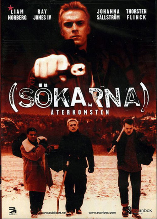 Póster de Searchers: The Return