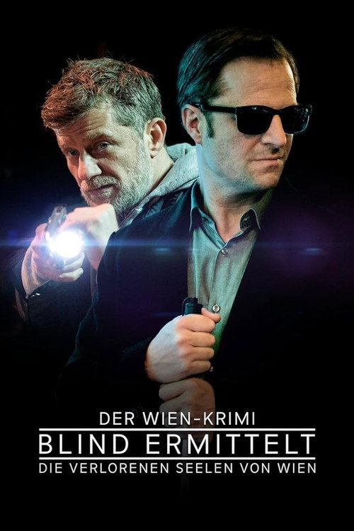 Póster de The Blind Detective: Las almas perdidas de Viena