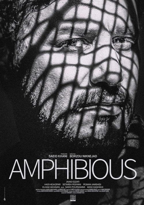 Póster de Amphibious