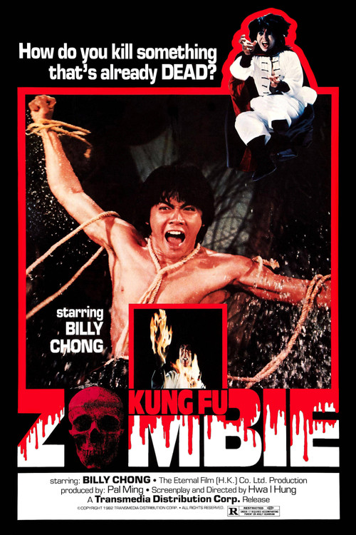 Póster de Kung Fu Zombie