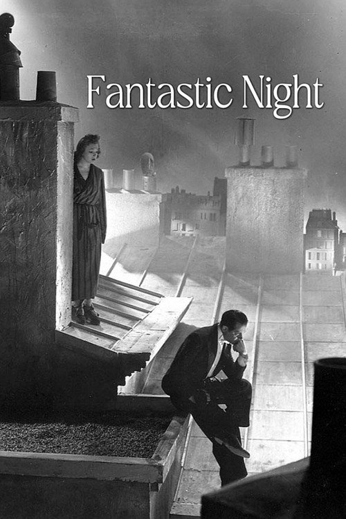 Póster de Fantastic Night