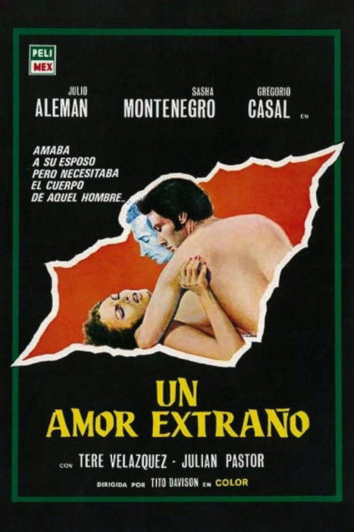 Póster de Un amor extraño
