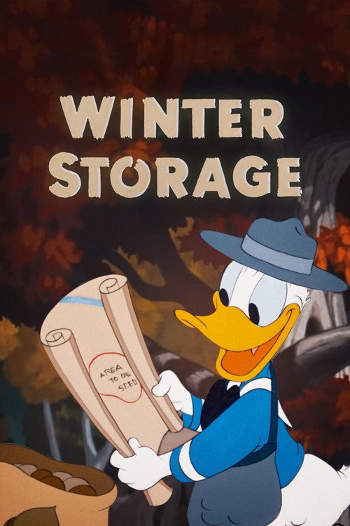 Póster de Winter Storage