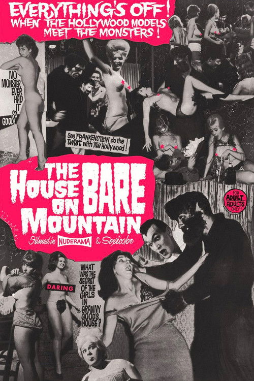 Póster de House on Bare Mountain