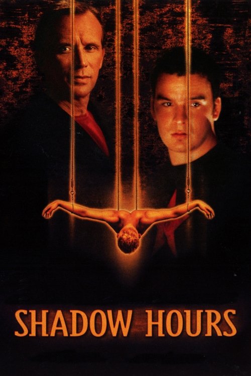 Póster de Shadow Hours