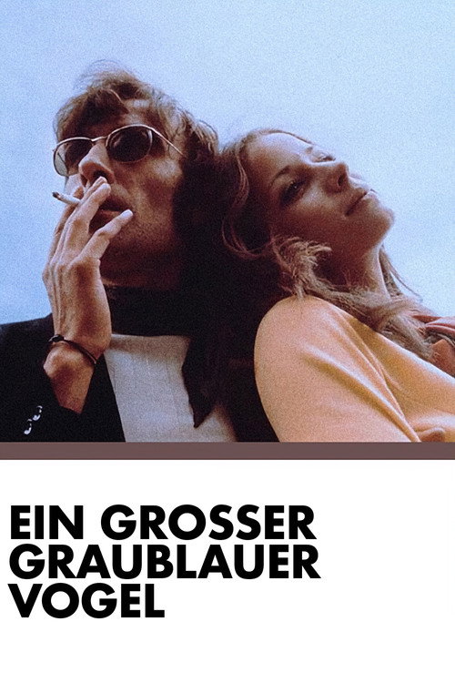 Poster von Ein großer graublauer Vogel