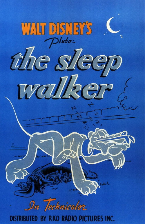 Póster de The Sleepwalker