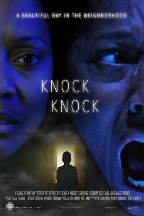 Póster de KNOCK KNOCK
