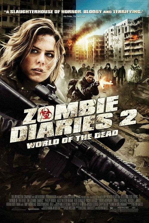 Póster de The Zombie Diaries 2
