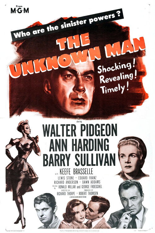 Póster de The Unknown Man