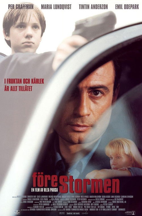 Póster de Before the Storm