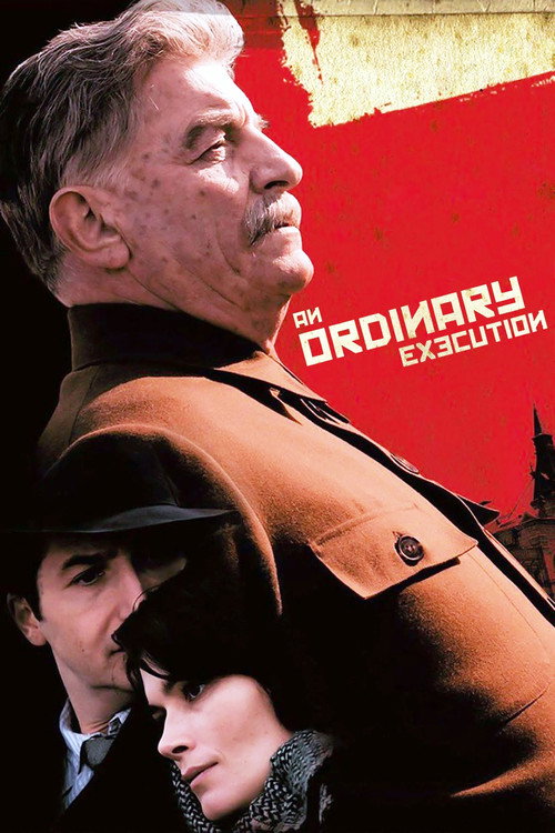 Póster de An Ordinary Execution