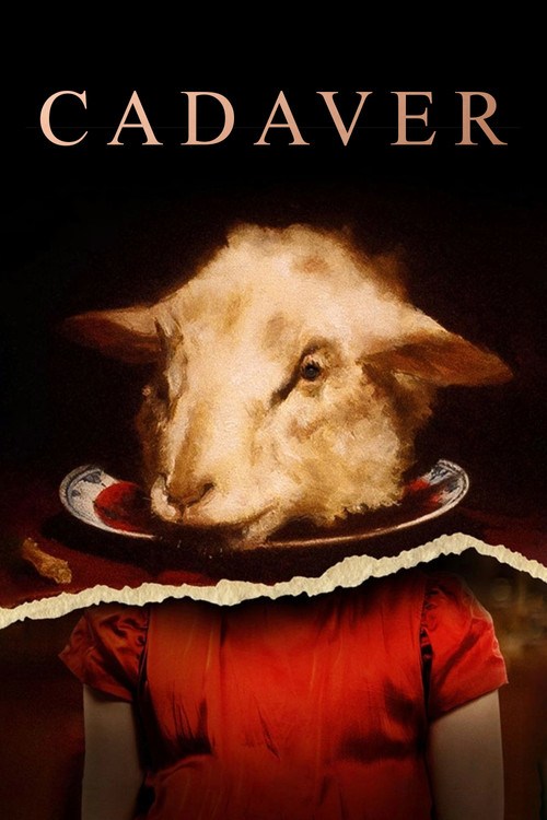 Póster de Cadaver