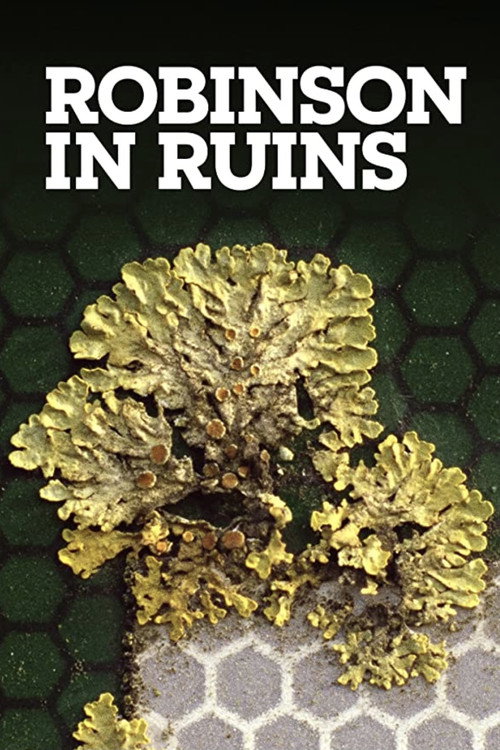 Póster de Robinson in Ruins