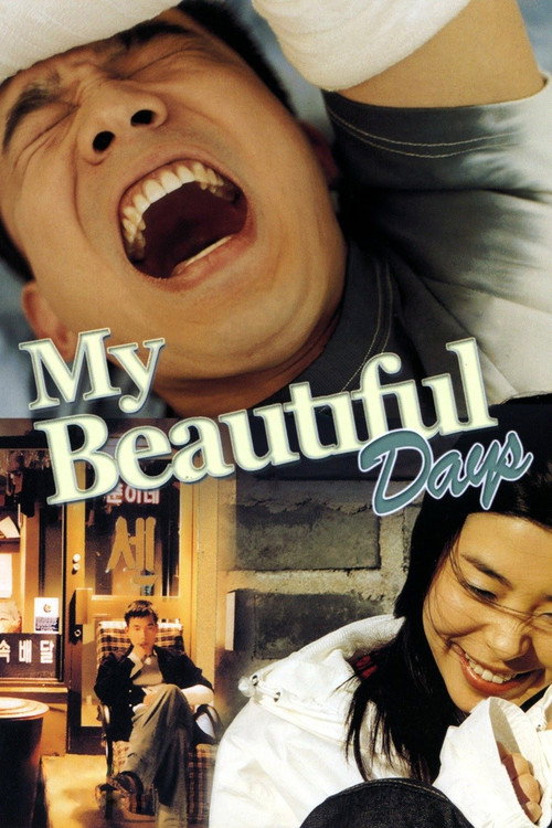 Póster de My Beautiful Days