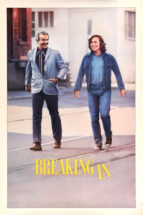 Póster de Breaking In
