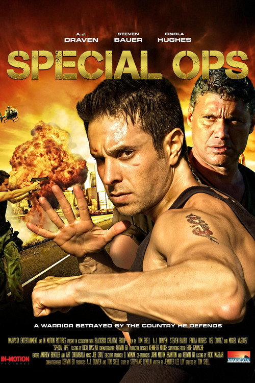 Póster de Special Ops