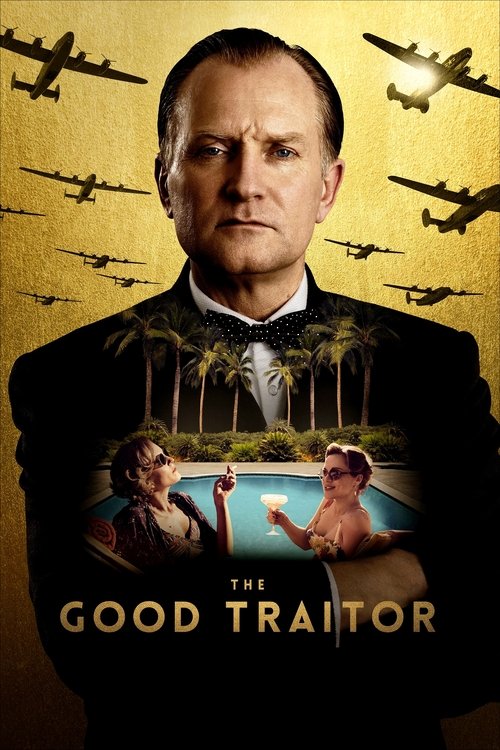 Póster de The Good Traitor