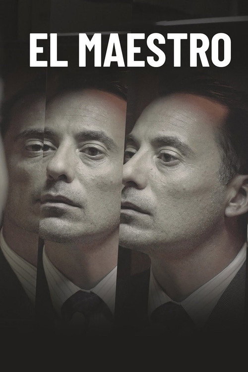 Póster de El maestro