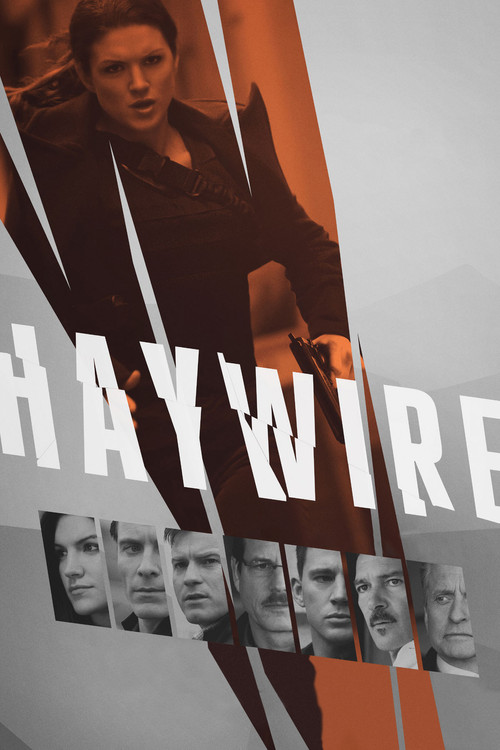 Póster de Haywire