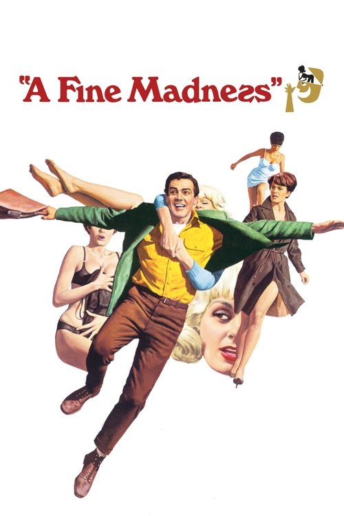 Póster de A Fine Madness