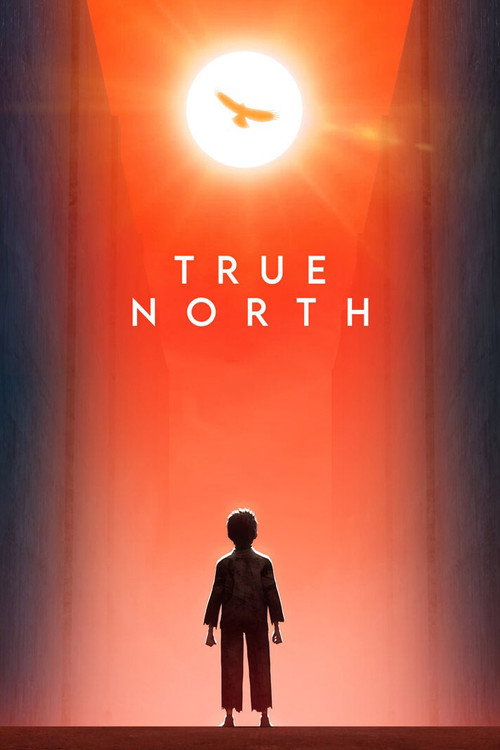 Póster de True North
