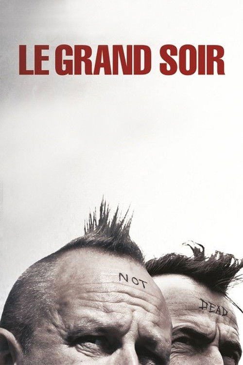 Póster de The Big Night