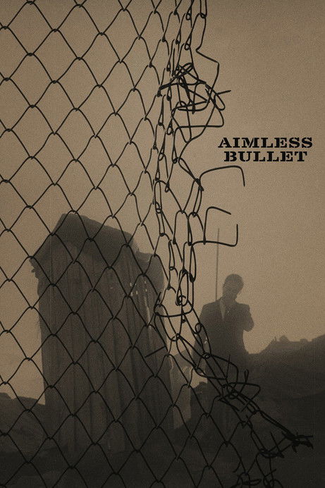 Póster de Aimless Bullet