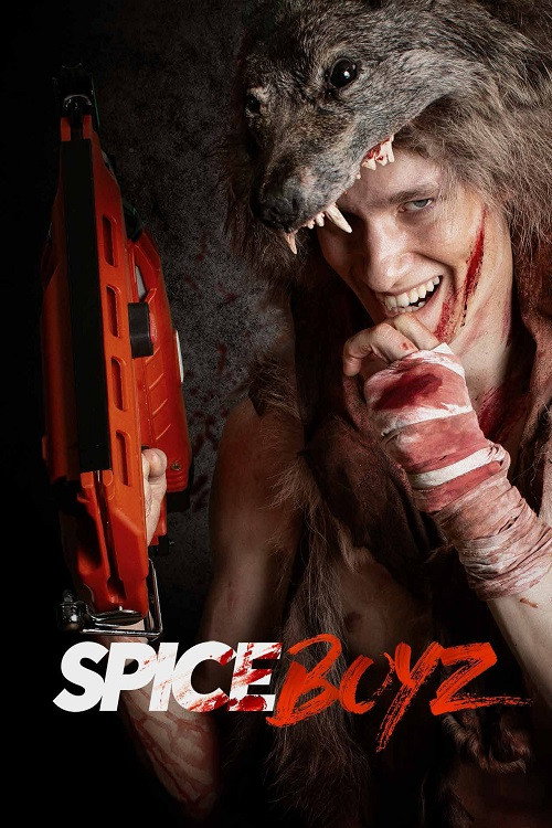Póster de Spice Boyz