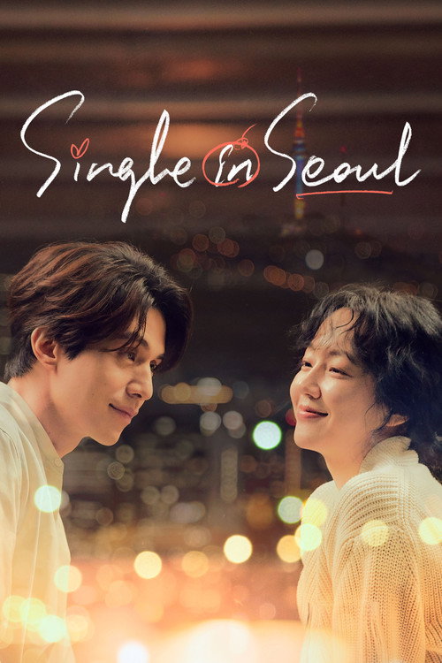 Póster de Single in Seoul