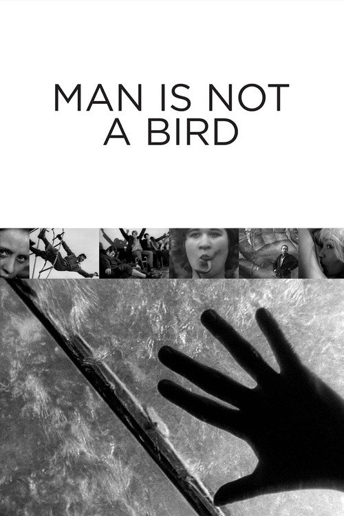 Póster de Man Is Not a Bird