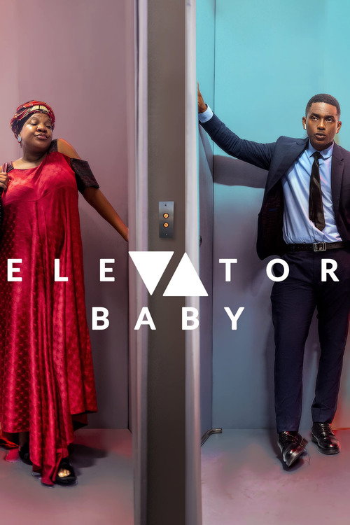 Póster de Elevator Baby