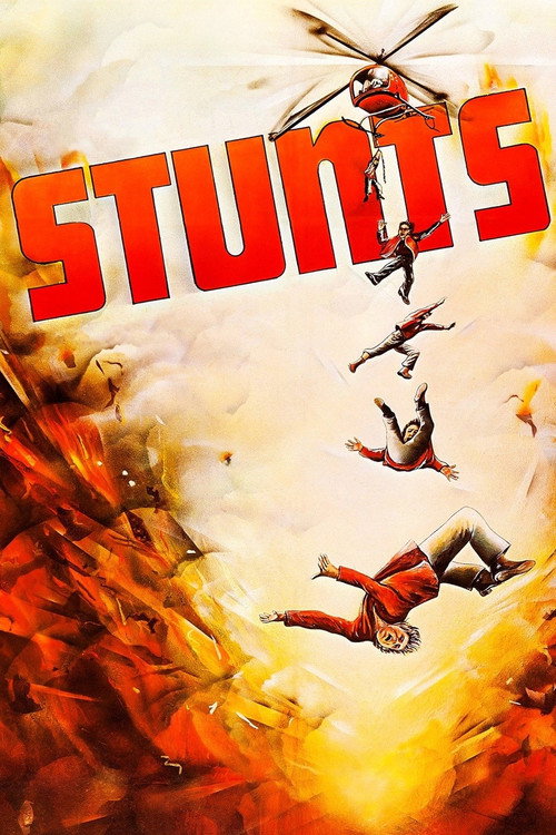 Póster de Stunts