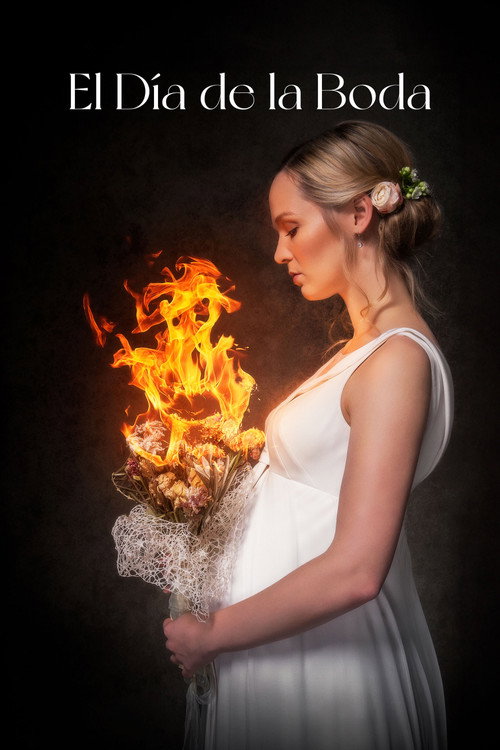 Locandina di The Wedding Day