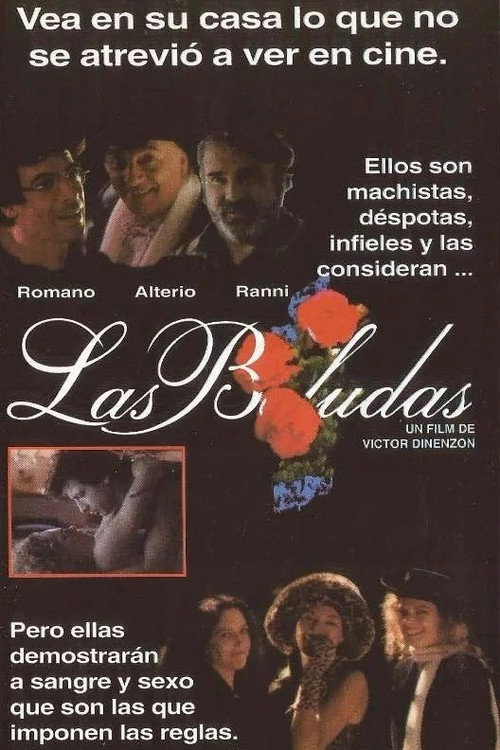 Póster de Las boludas