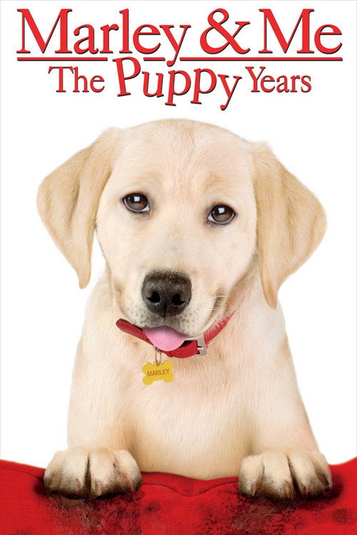 Póster de Marley & Me: The Puppy Years
