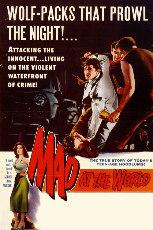 Póster de Mad at the World