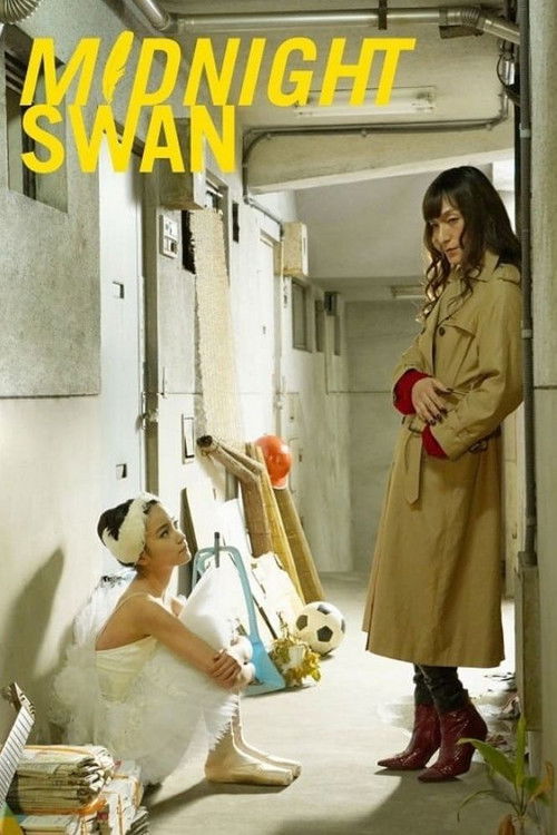 Póster de Midnight Swan