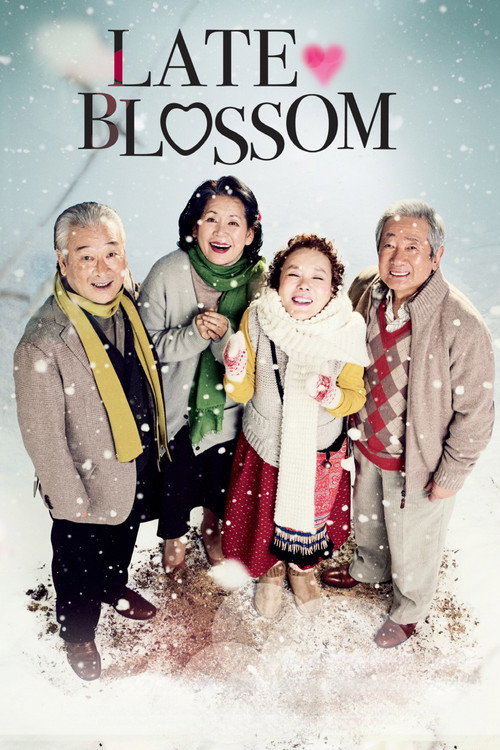 Póster de Late Blossom