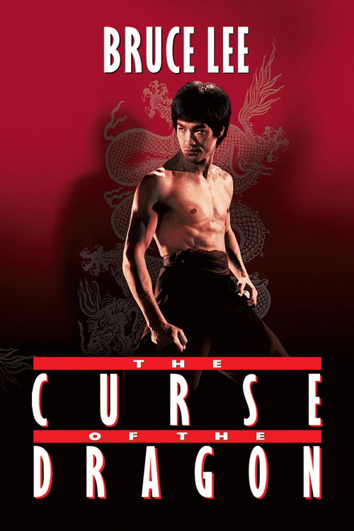 Póster de The Curse of the Dragon