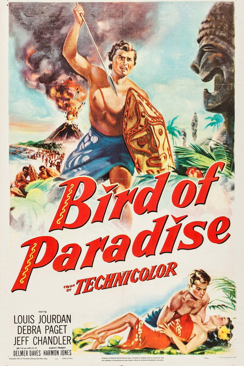 Póster de Bird of Paradise