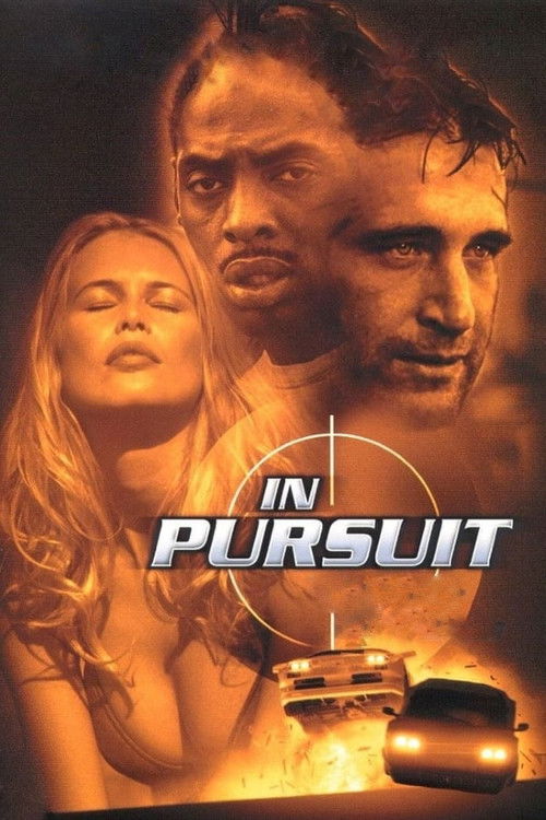 Póster de In Pursuit