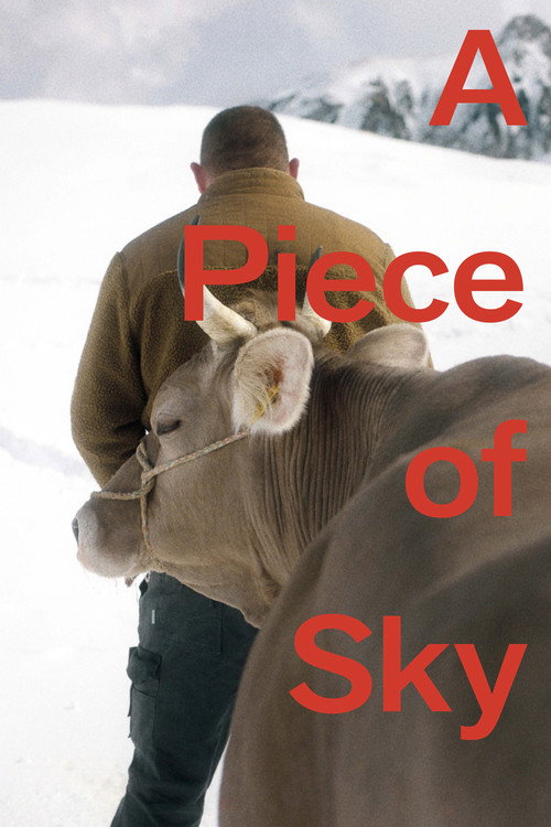 Póster de A Piece of Sky