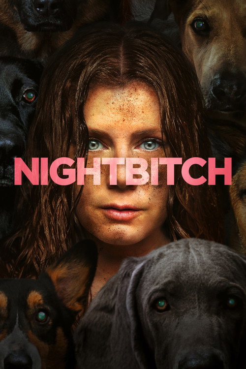 Póster de Nightbitch