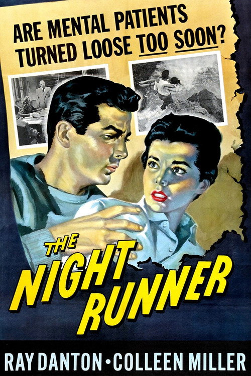 Póster de The Night Runner