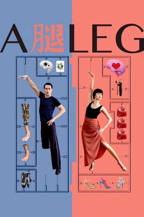 Póster de A Leg